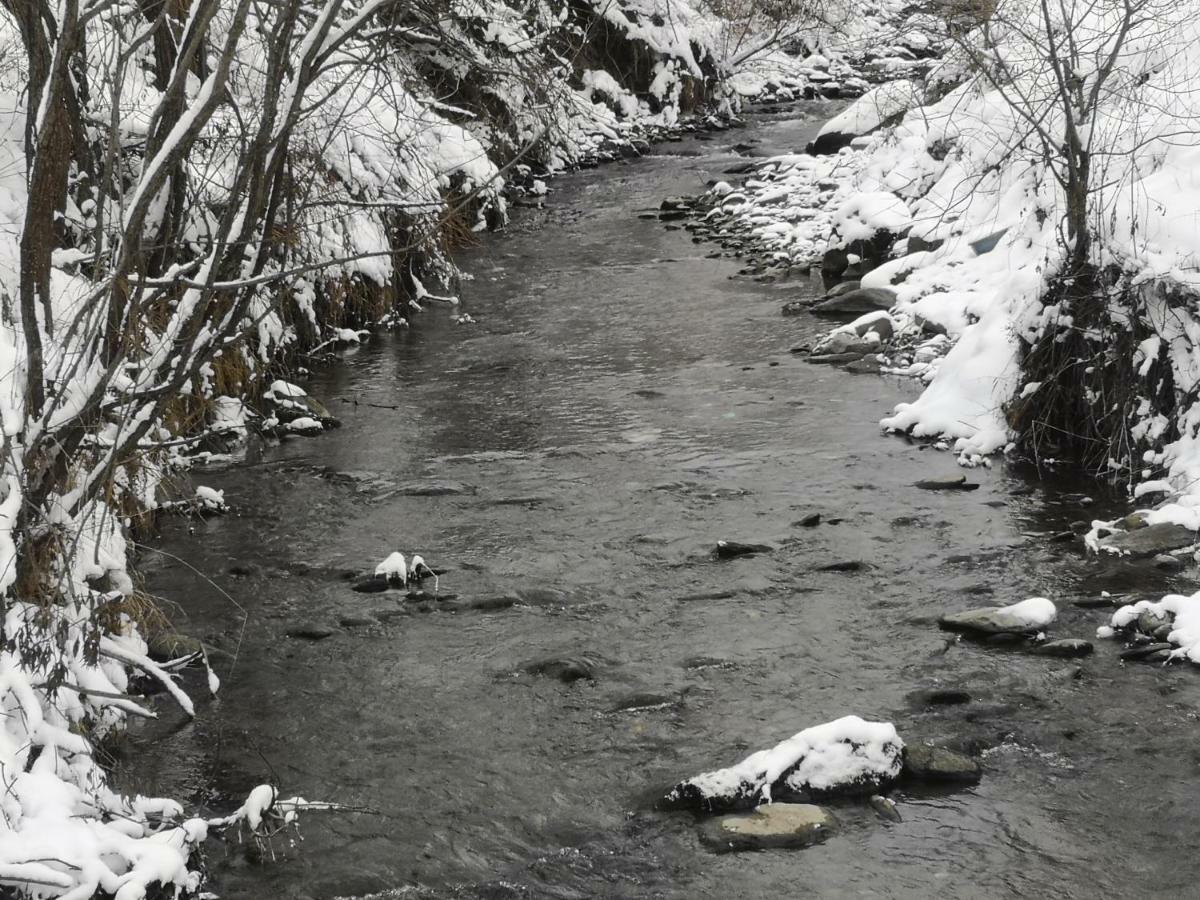 Pensiunea Floare De Colt مويزي المظهر الخارجي الصورة